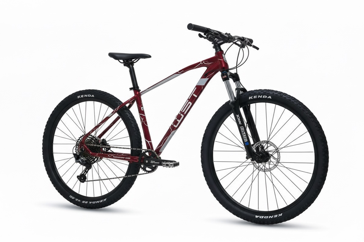 Bici MTB freno disco, Shimano 11-50, Horquilla Suntour con bloqueo remoto